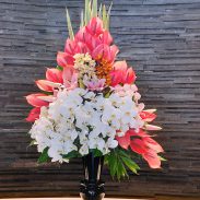 خرید گلدان سفالی گل رز برای تبریک