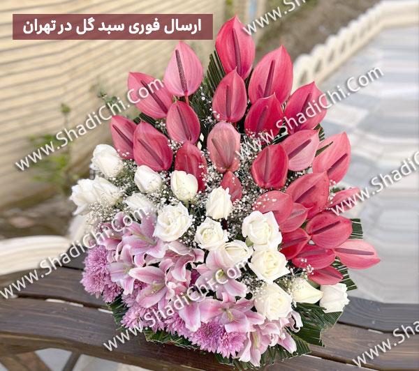 ارسال فوری سبد گل در تهران با آنتوریوم