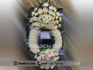 گل درباری در گل سرای بهشت